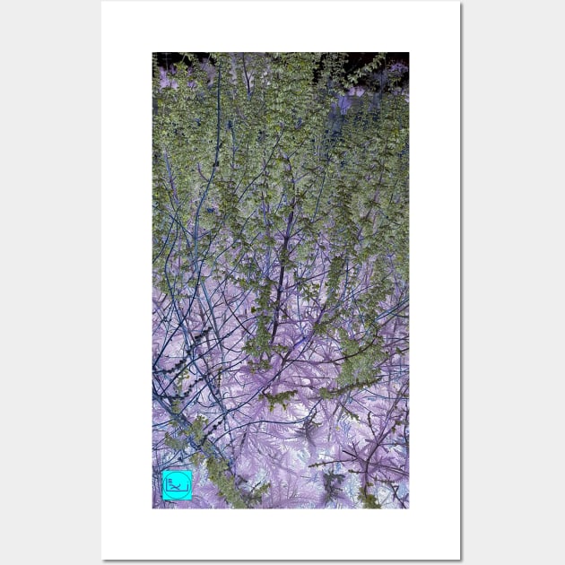 solar lavender Wall Art by callalexi